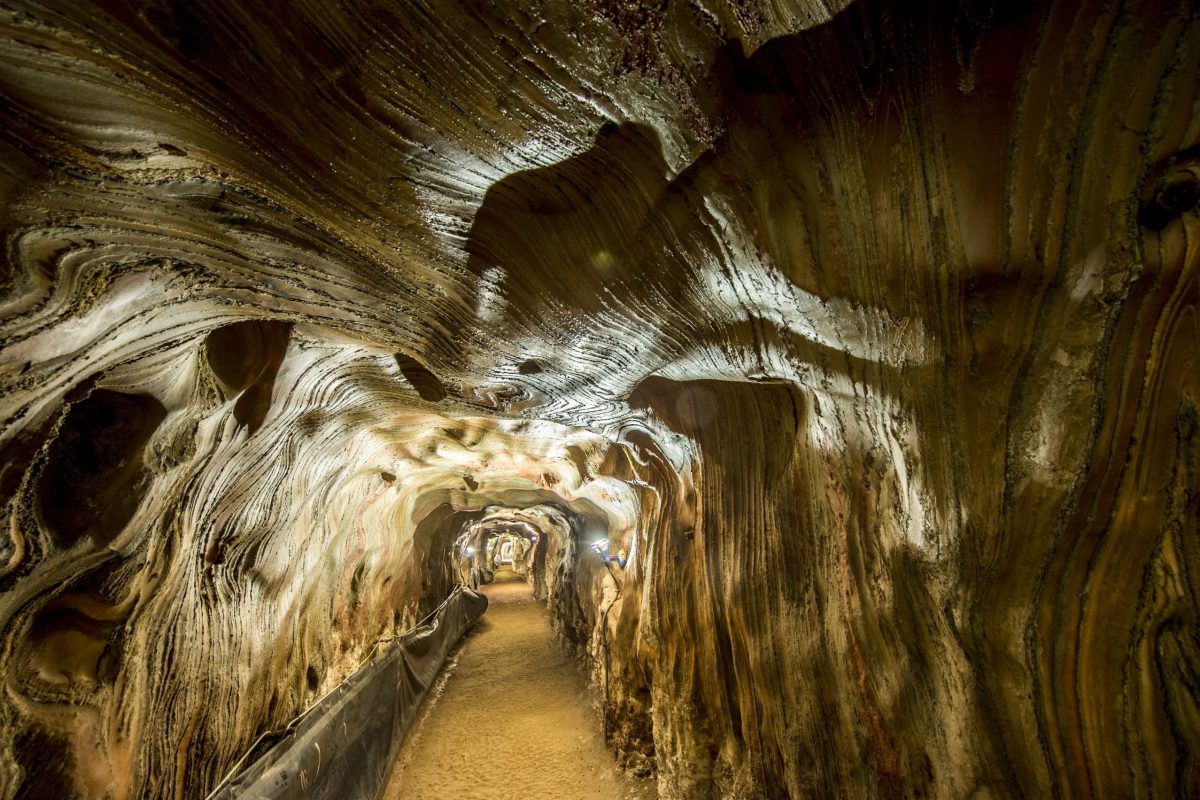 GCC04_muntanya_de_sal_cardona_CF--3